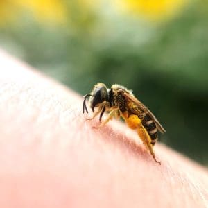 close-up-insect-hand close-up-insect-hand